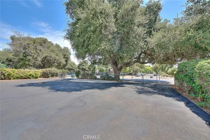LARGE CIRCULAR DRIVE WAY