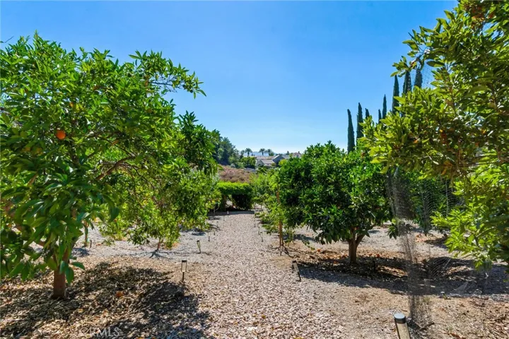 rock trail into orchard to pergola