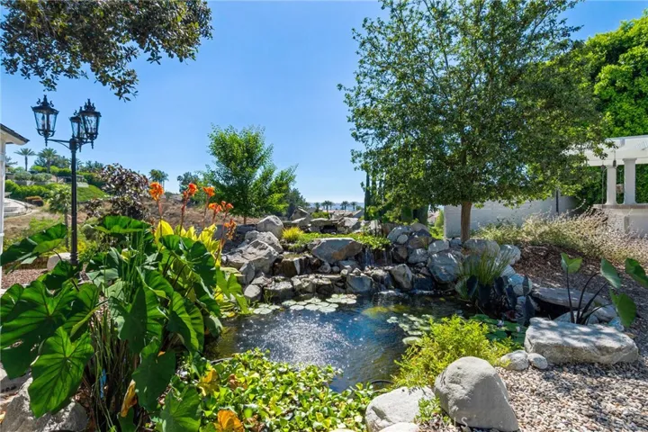 koi pond day
