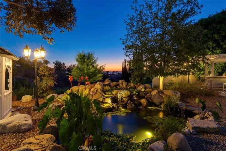 koi pond night