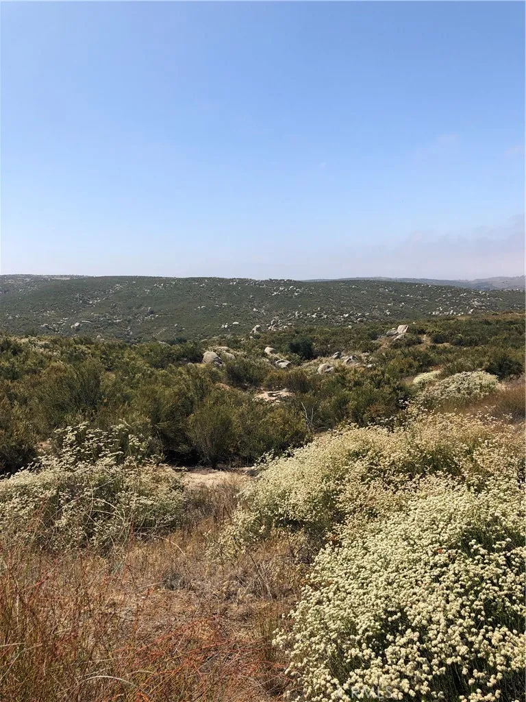 View of parcel.