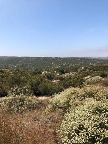 View of parcel.