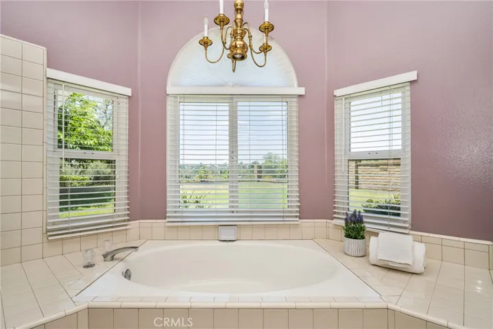 Primary bathtub