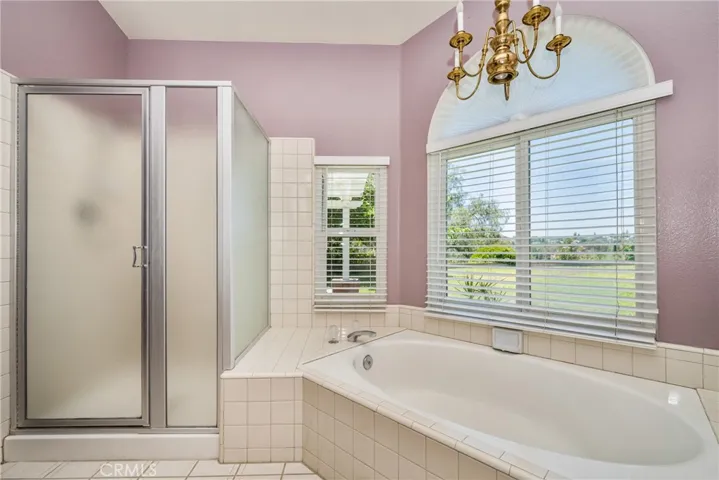Primary tub and shower