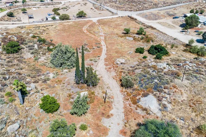 Looking toward West-former home in foreground before cypress trees.