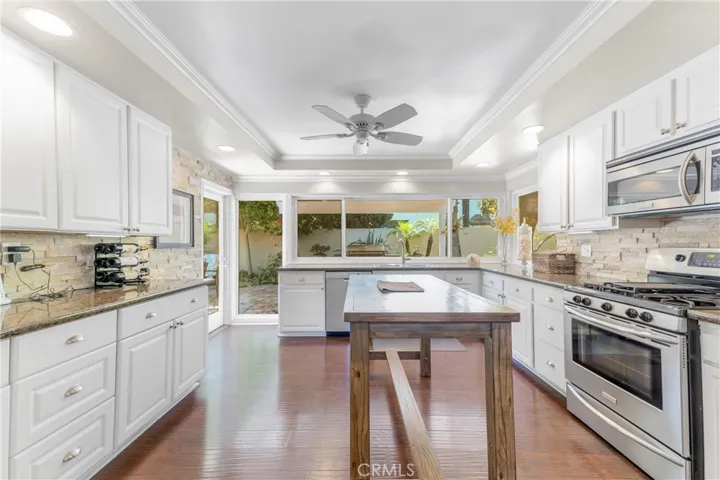 Gourmet remodeled kitchen