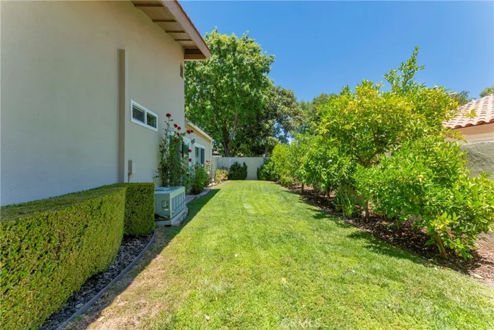 Grassy side yard