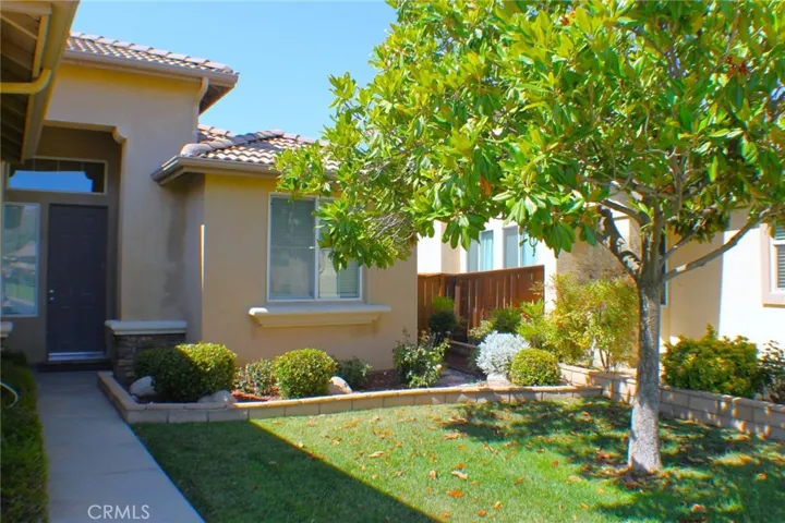 Lush, Green front yard
