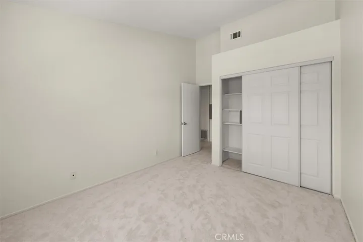 new carpet and large closet with organizer