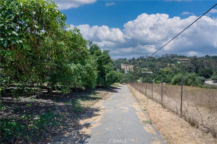 Road to additional lots.