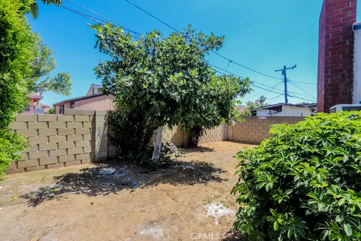 Rear Yard