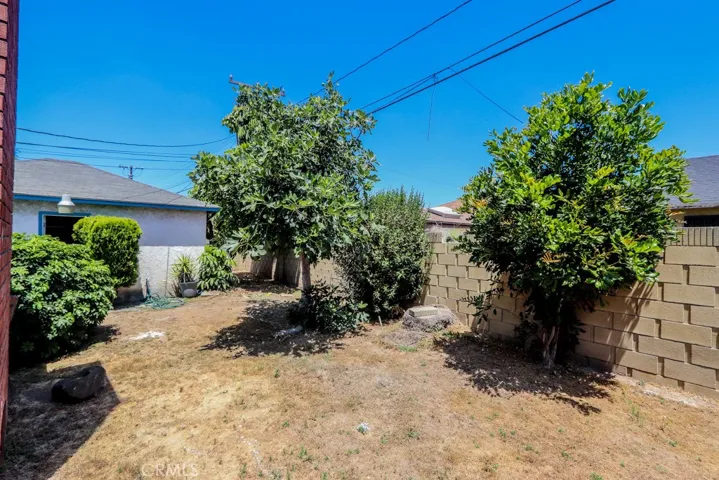 Rear Yard with Fruit Trees