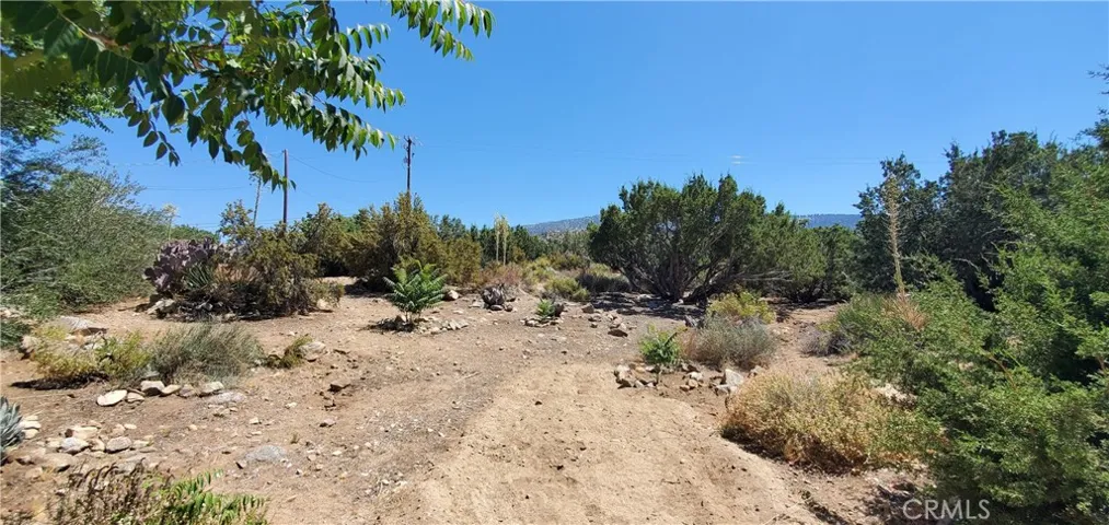 400 Mesquite Road, Pinon Hills, California 92372