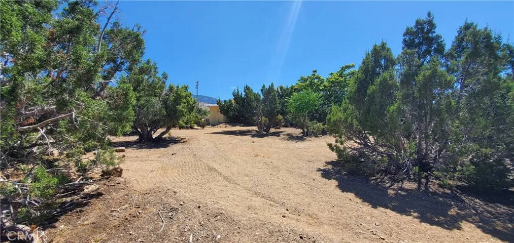 400 Mesquite Road, Pinon Hills, California 92372