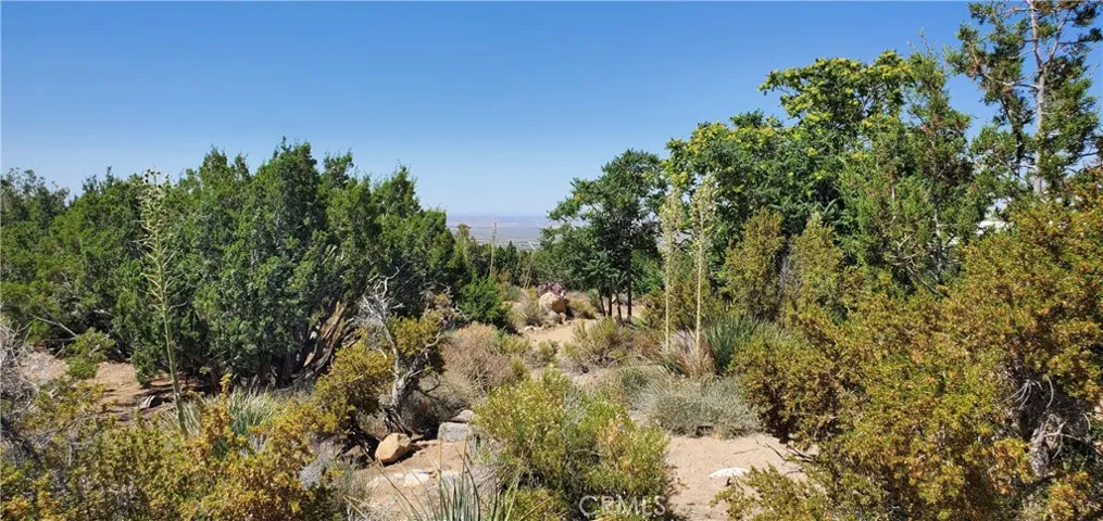 400 Mesquite Road, Pinon Hills, California 92372