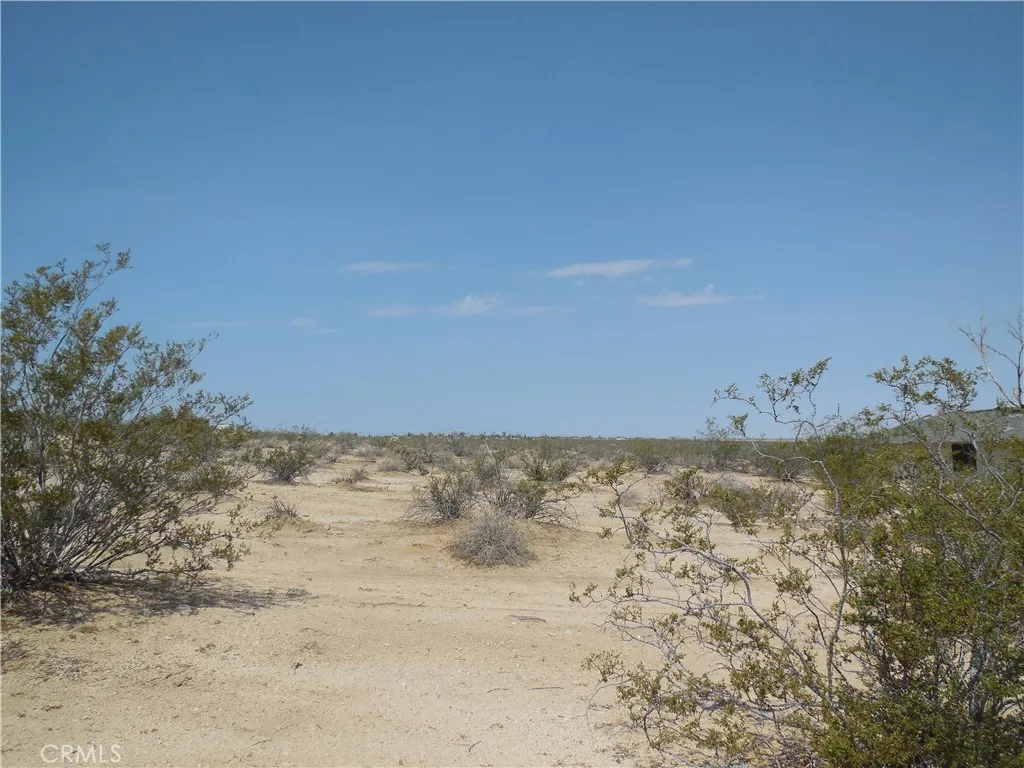 Lot - looking West1
