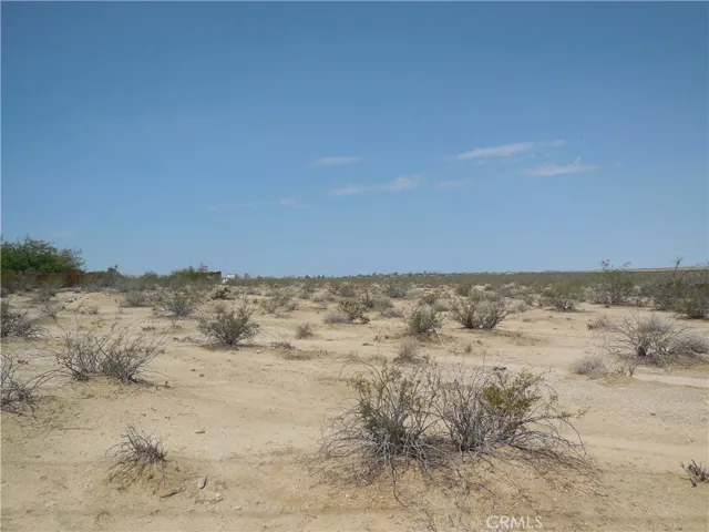 Lot looking West2