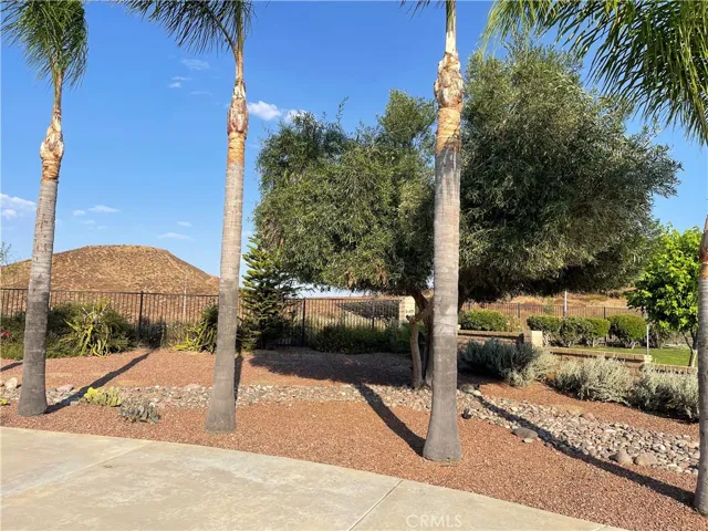 Beautiful front yard with low maintenance.