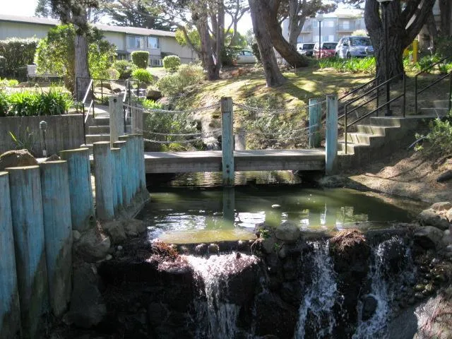 397 Imperial Way 143, Daly City, California 94015