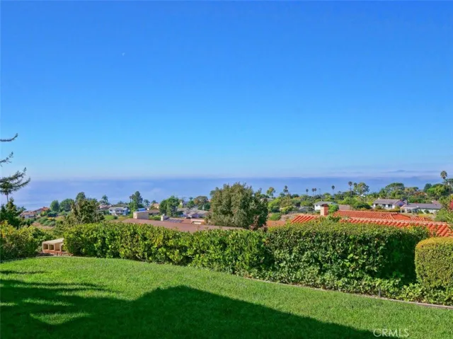 view from backyard