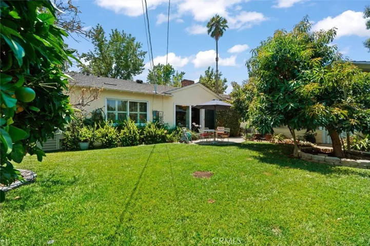 Good sized backyard with multiple fruit trees.