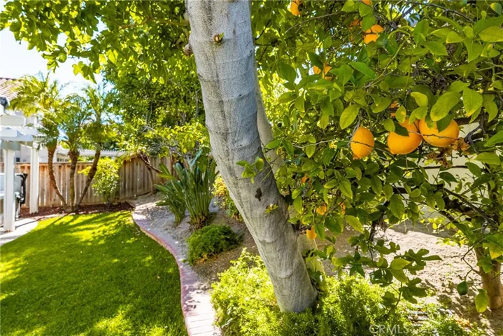 25609 Corsica Way, Yorba Linda, California 92887