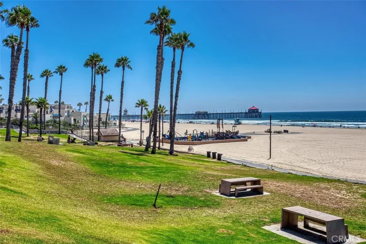 Cool ocean breezes always blowing the palm trees.