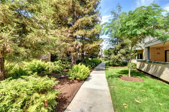 Lovely community grounds