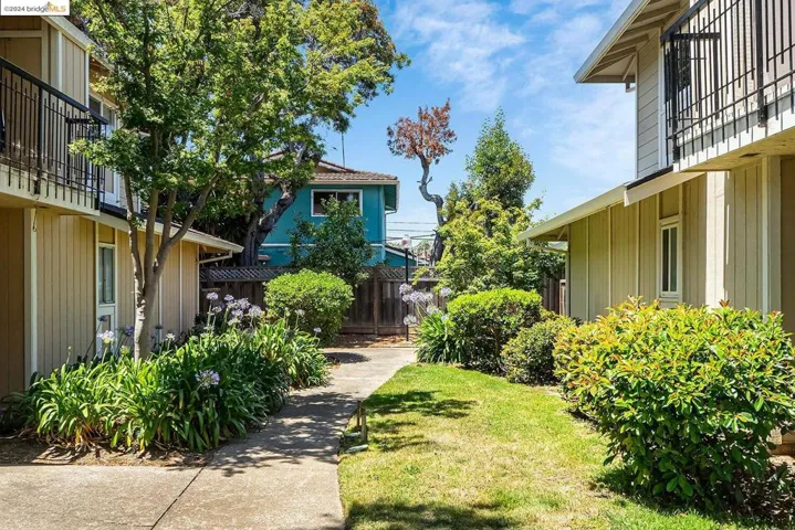 Front Yard