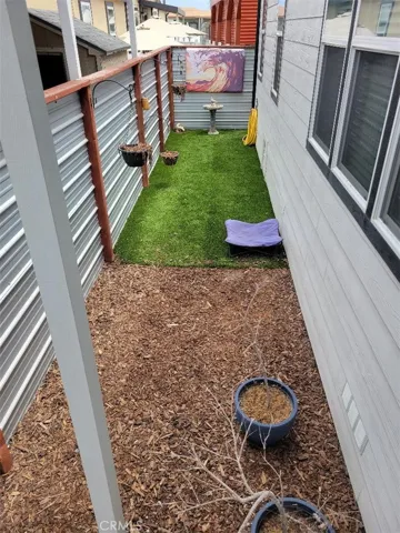 side/Back yard