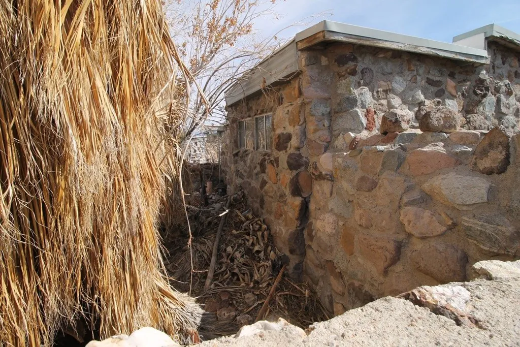 1233 Desert Drive, Needles, California 92363 home-pic-6