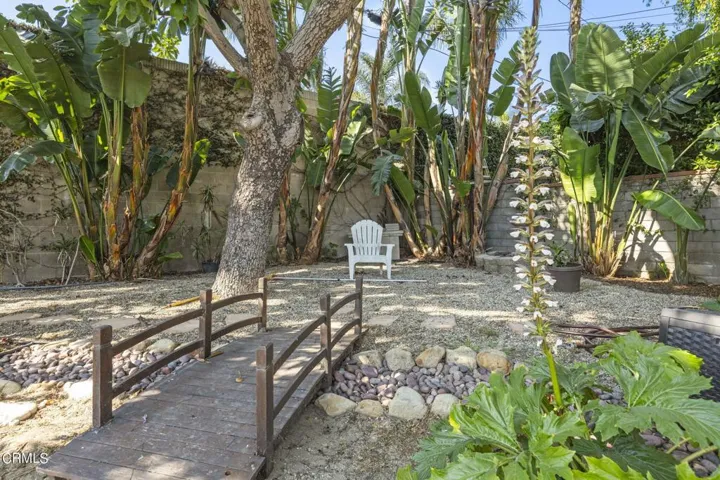 backyard4