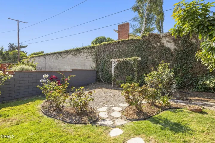 backyard5