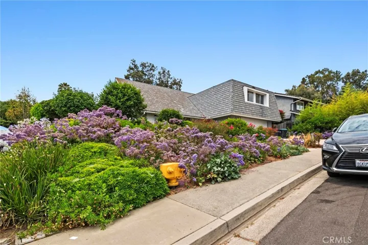 Street view of the house