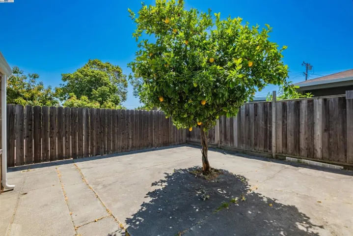 482 Olive St, San Leandro, California 94578