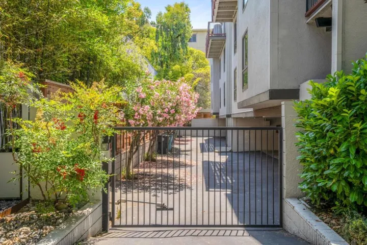 388 Everett Avenue, Palo Alto, California 94301