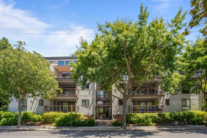 388 Everett Avenue, Palo Alto, California 94301