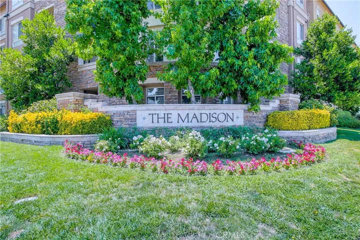 The Madison