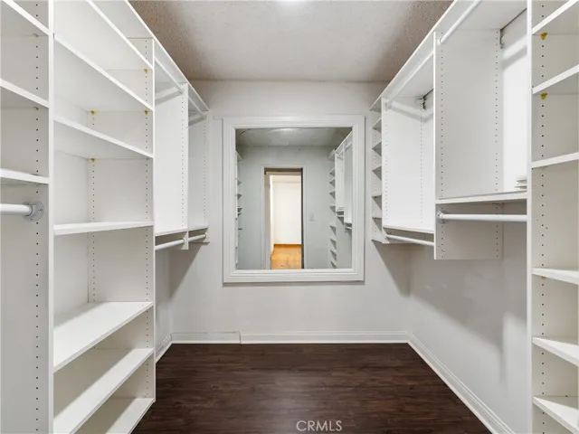 Walk In Closet with Shelf Organizer