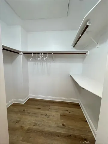 Master walk-in closet
