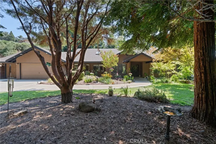 Front view through the trees