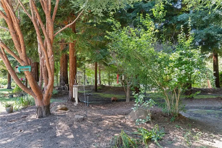 Beautiful landscaping