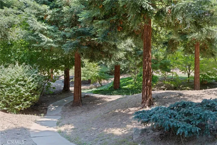 More pathways throughout the yard