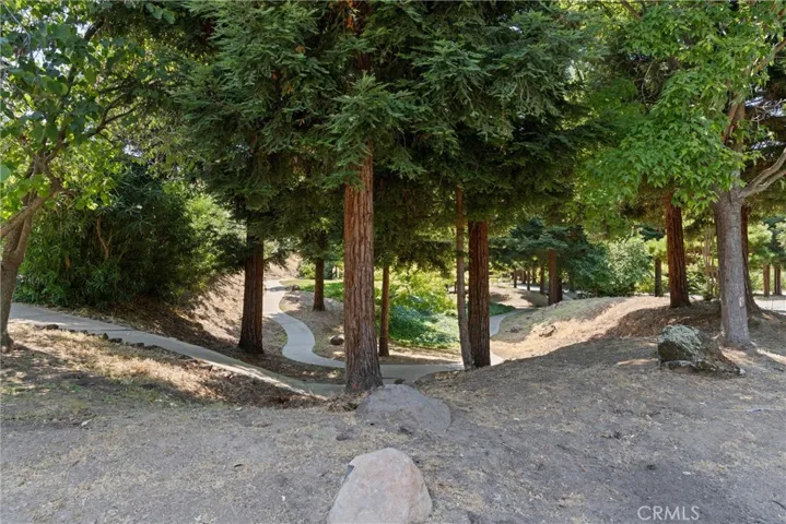 Peaceful, shady paths