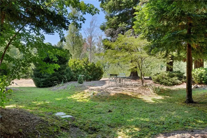 Close to the creek