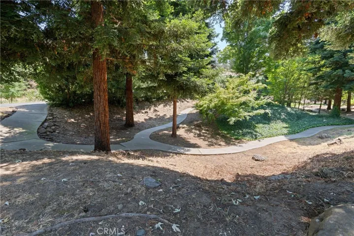 Front yard
