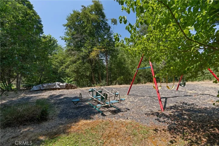 Swing set area