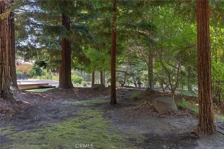 3 gorgeous acres!