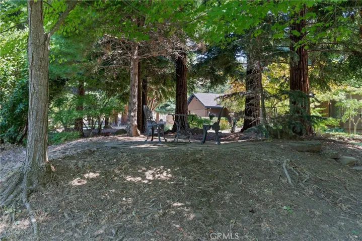 Sitting area near the creek