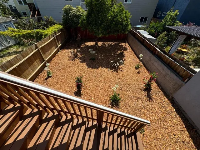 557 Green Avenue, San Bruno, California 94066